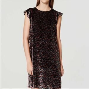 Loft dark floral velvet shift dress flutter sleeve moody floral size small